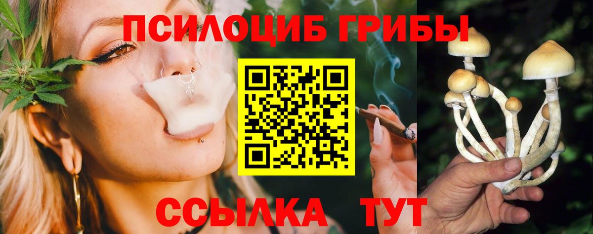 Мирный  Псилоцибиновые грибы Psilocybine cubensis  Вход с VPN  Галлюциногенные грибы Cubensis 